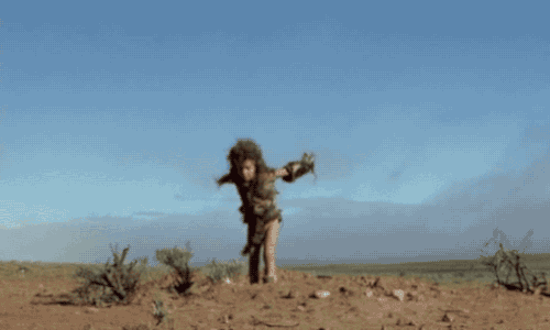1000028230.gif