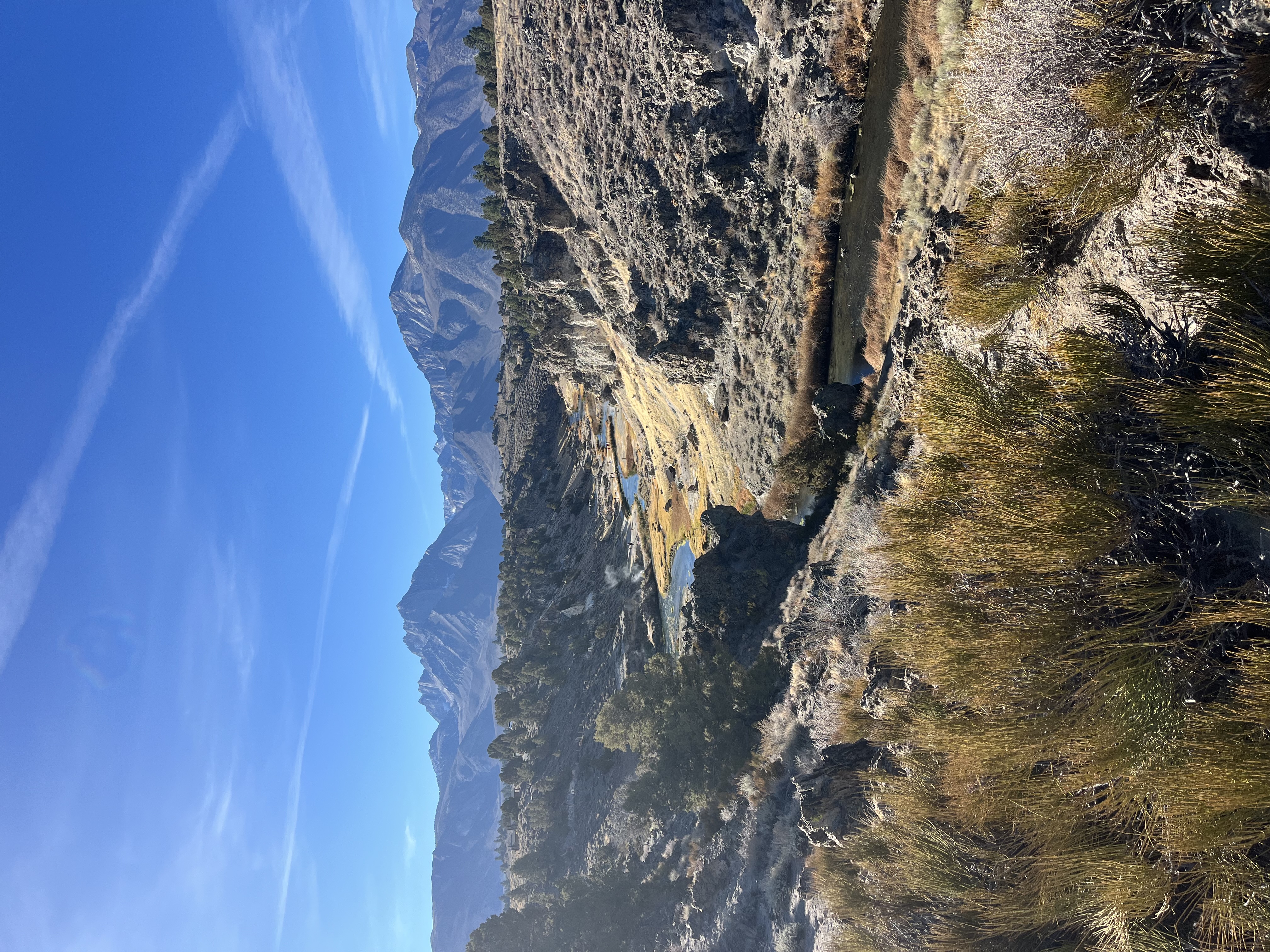 1781021578481.jpeg