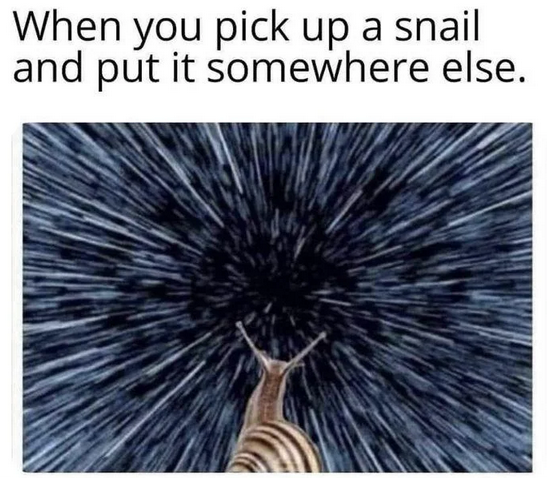 1781187300061.png