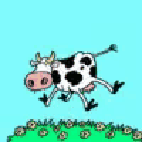1783042539265.gif