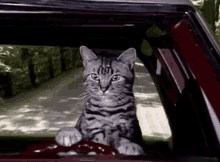 1790910905019.gif