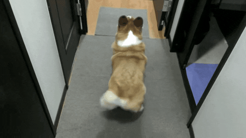 1792388669666.gif