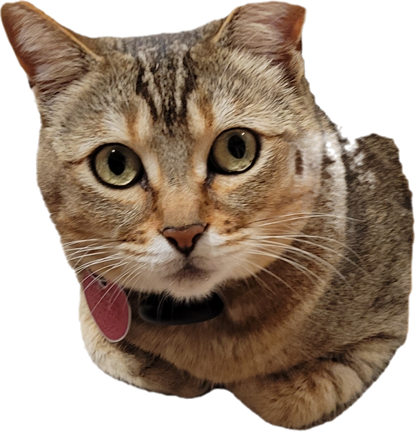 1792470246728.png