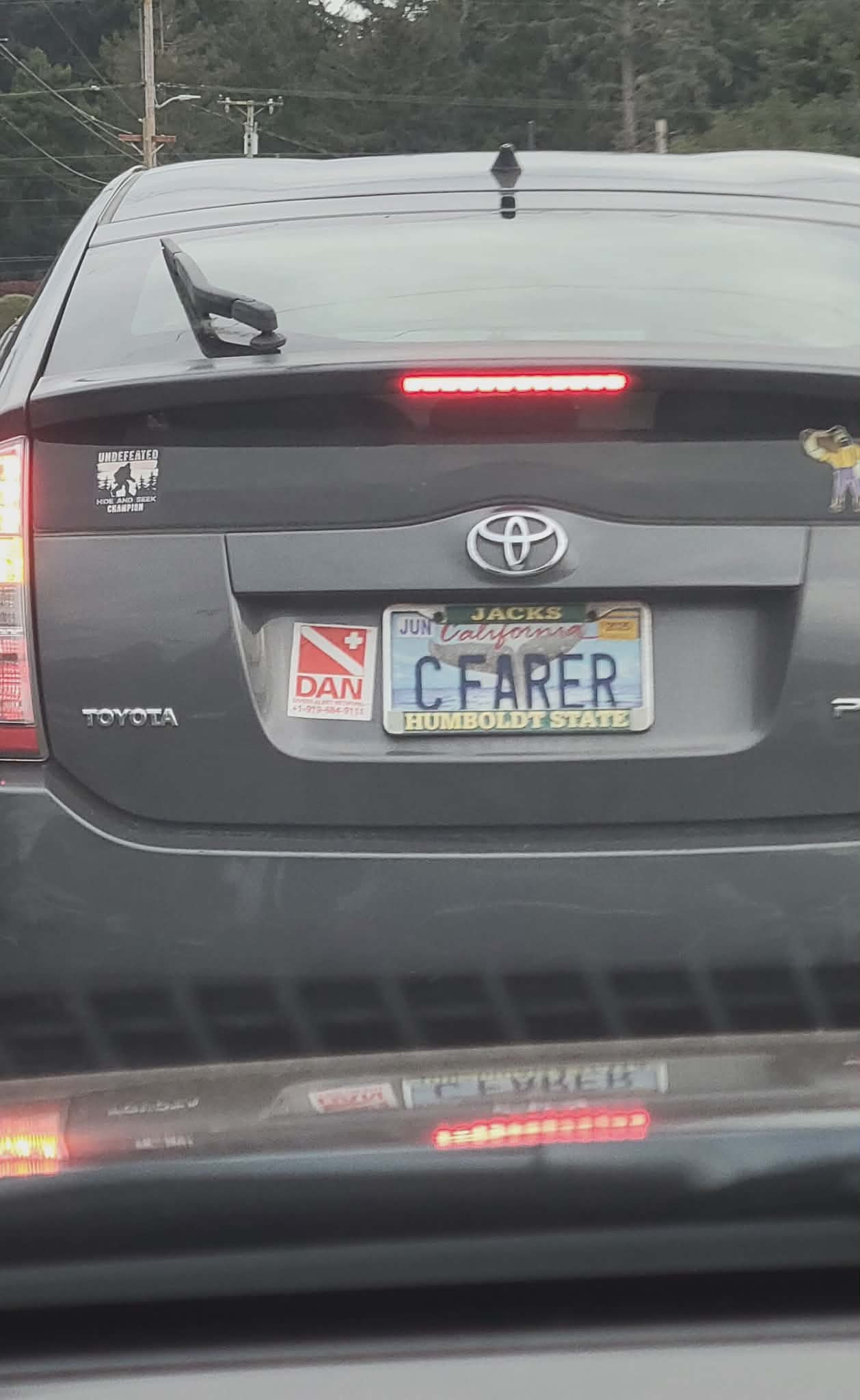 c farer.jpeg