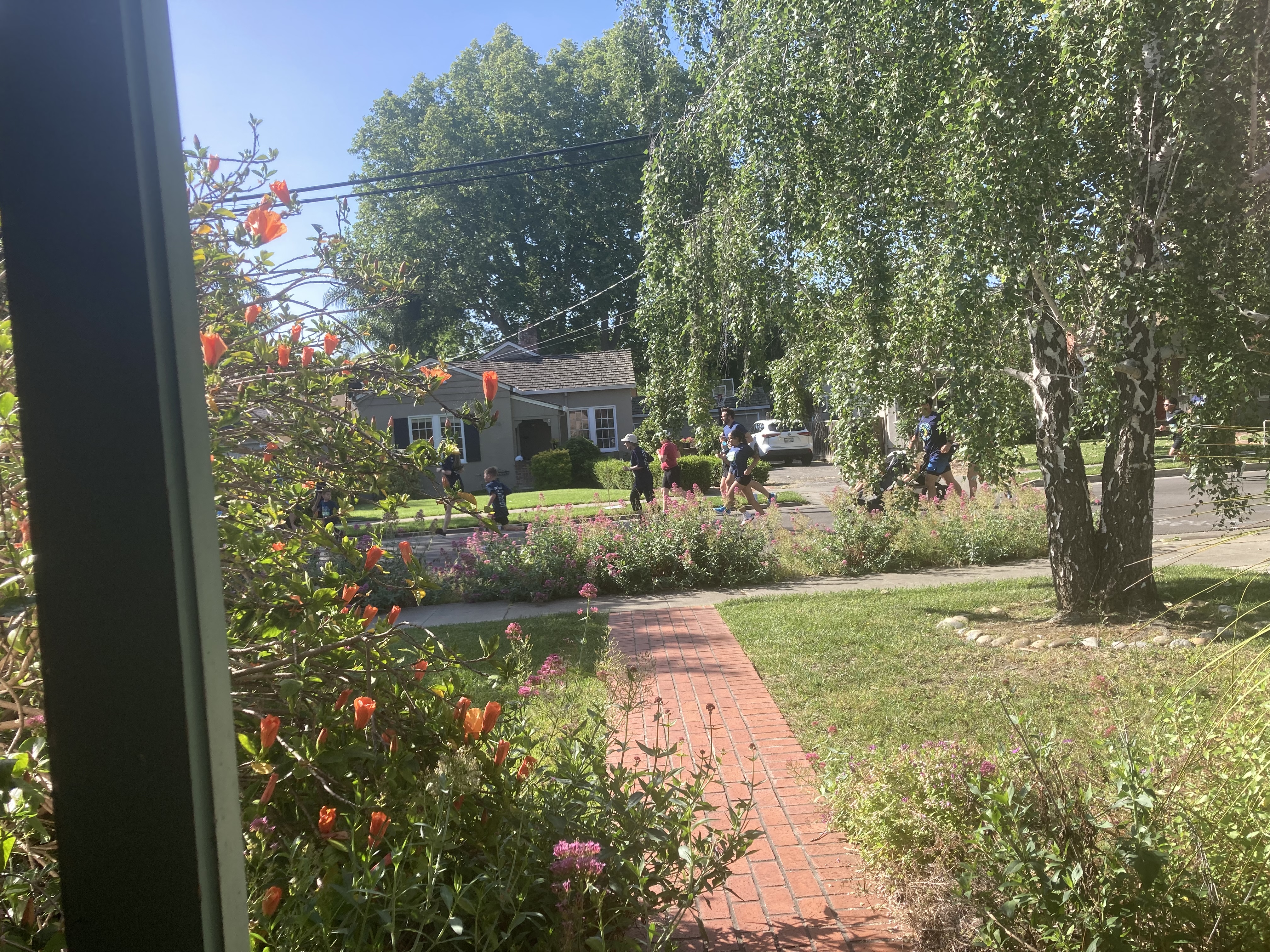 IMG_0581.jpeg
