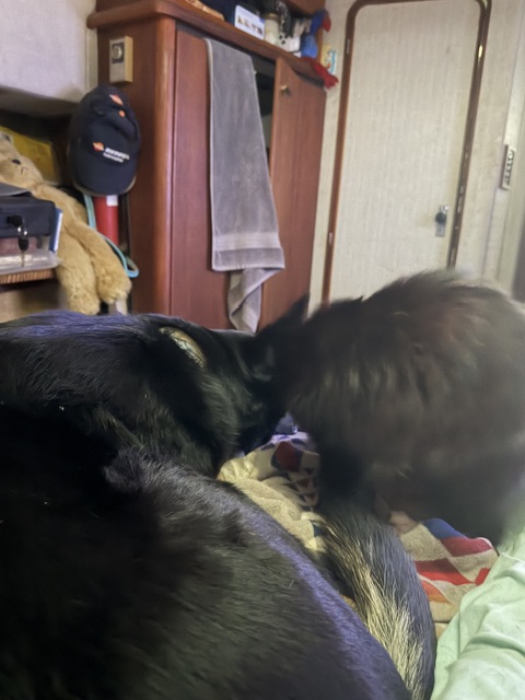 IMG_0710.jpeg