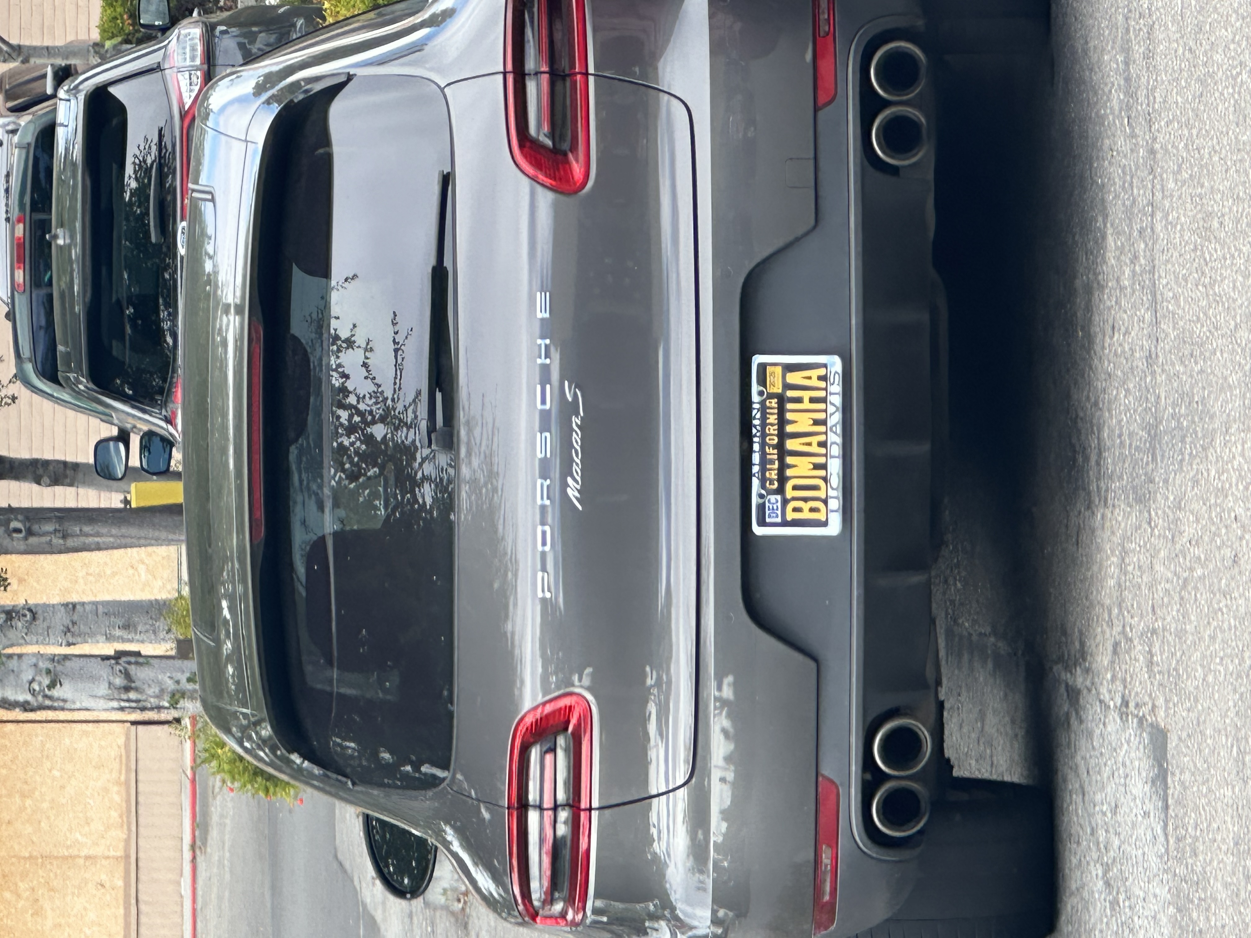 IMG_7530.jpeg