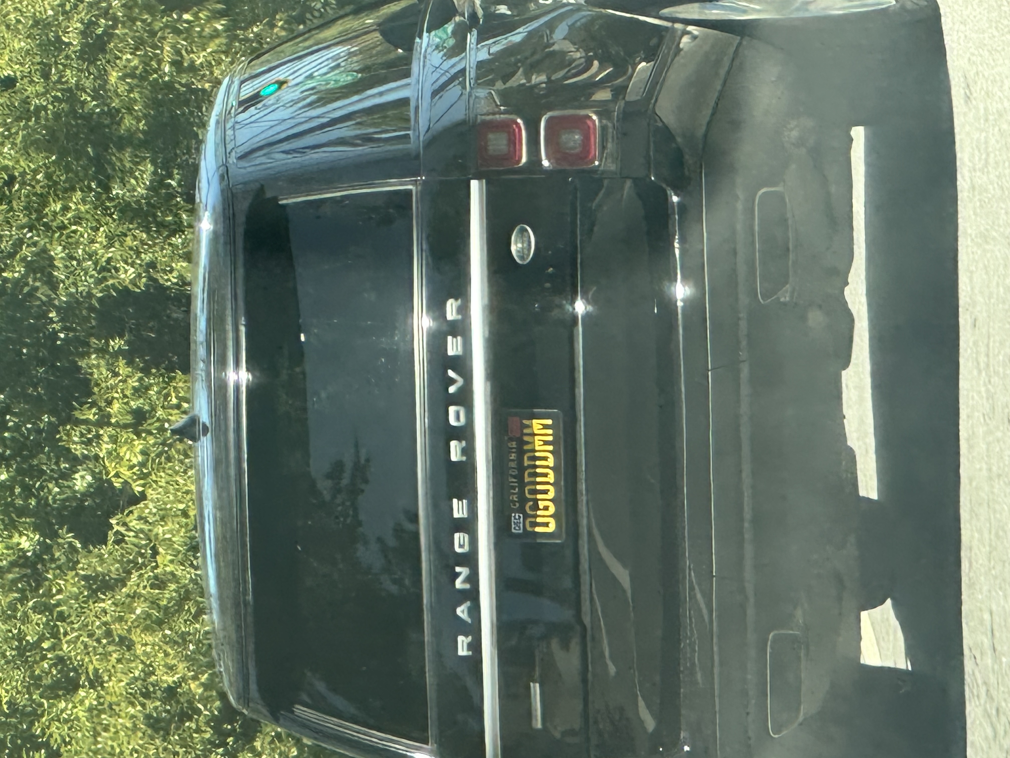 IMG_7737.jpeg
