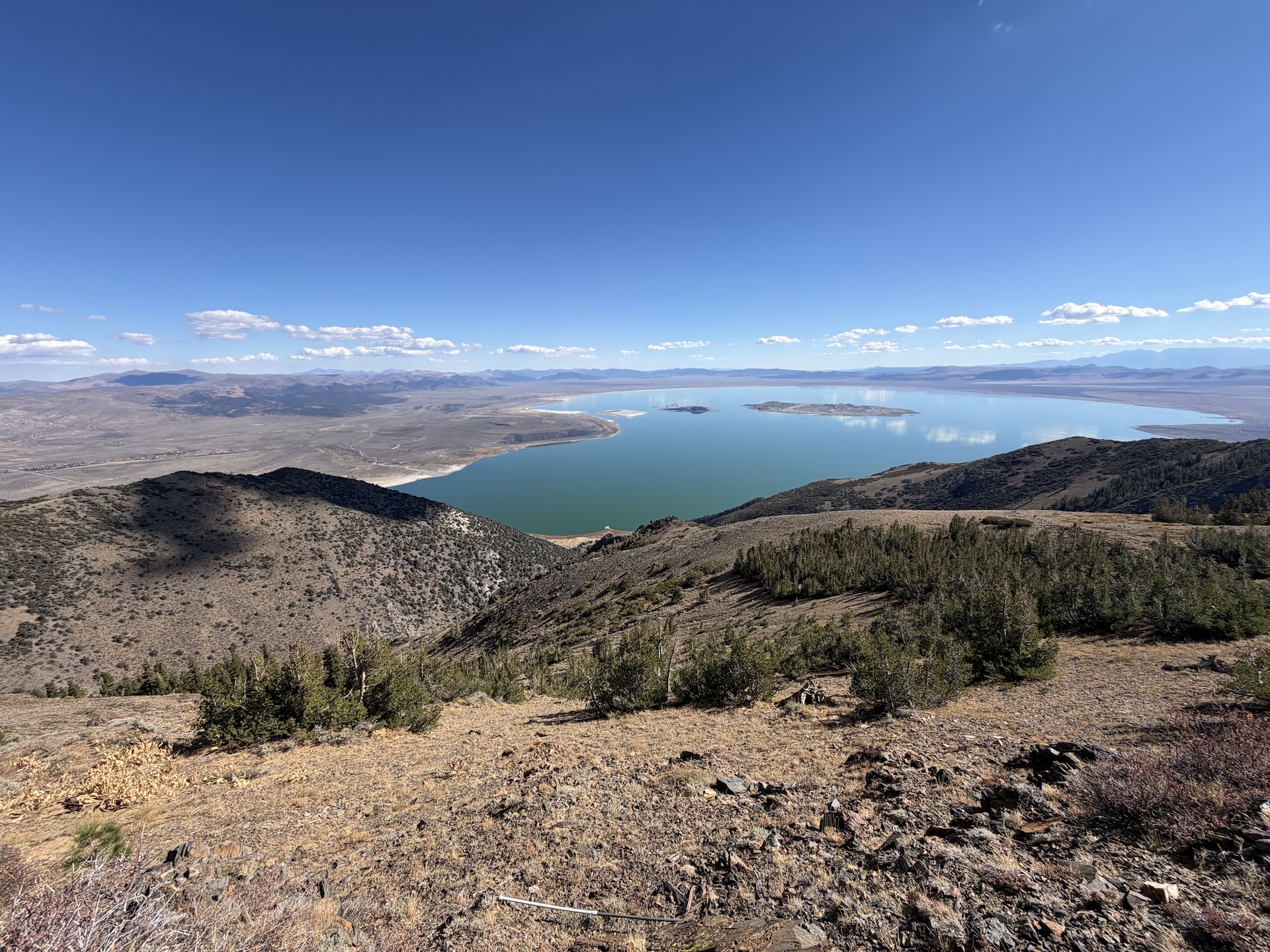 Mono Lake '26.jpg