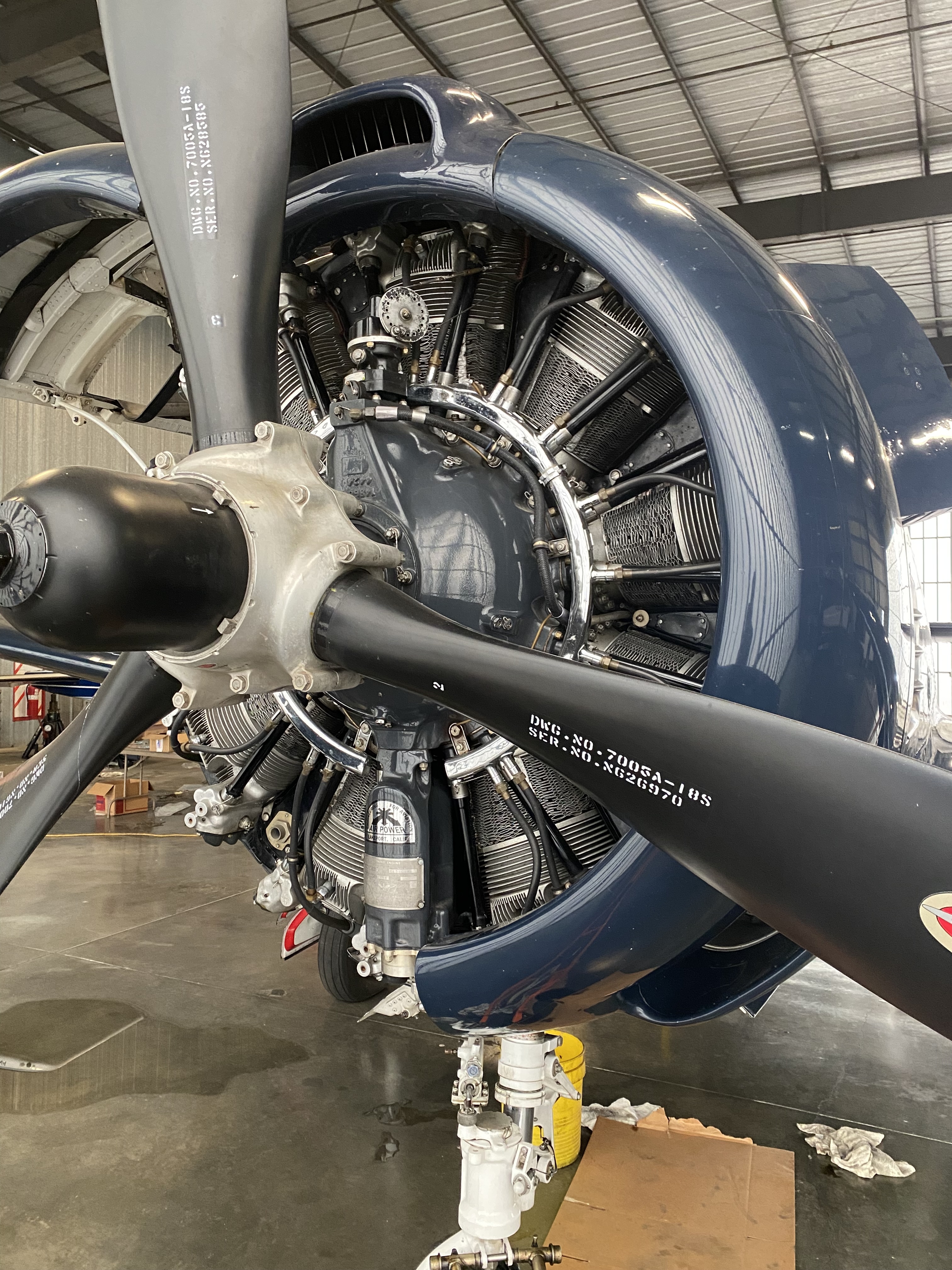 Navy T-28 a.jpeg