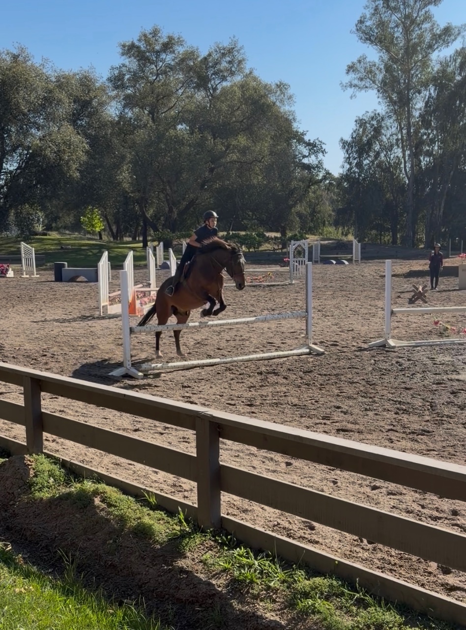 Phoenix jumping.jpeg