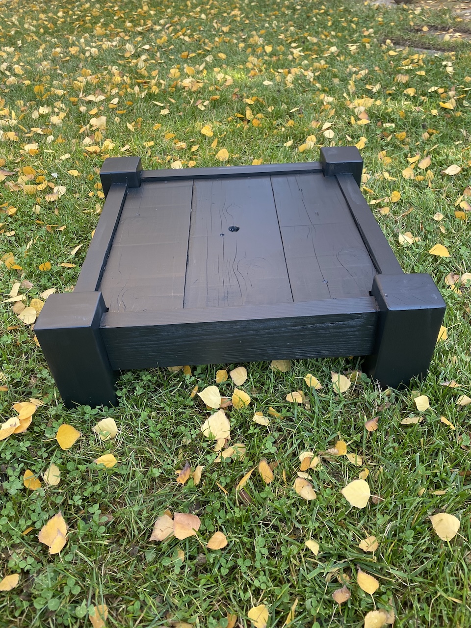 Pine Tree Stand 1.jpg