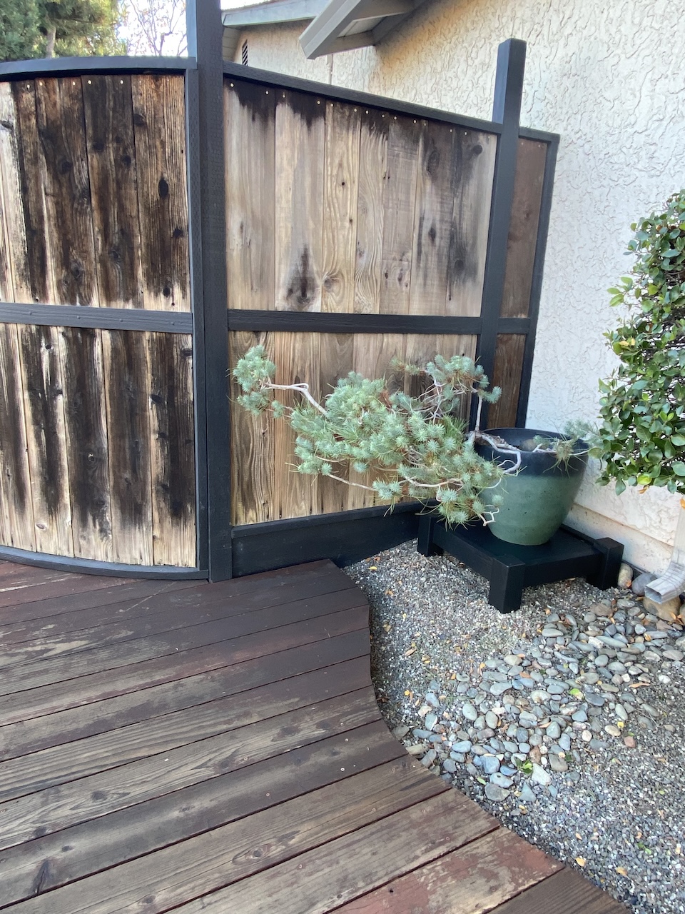 Pine Tree Stand 2.jpg