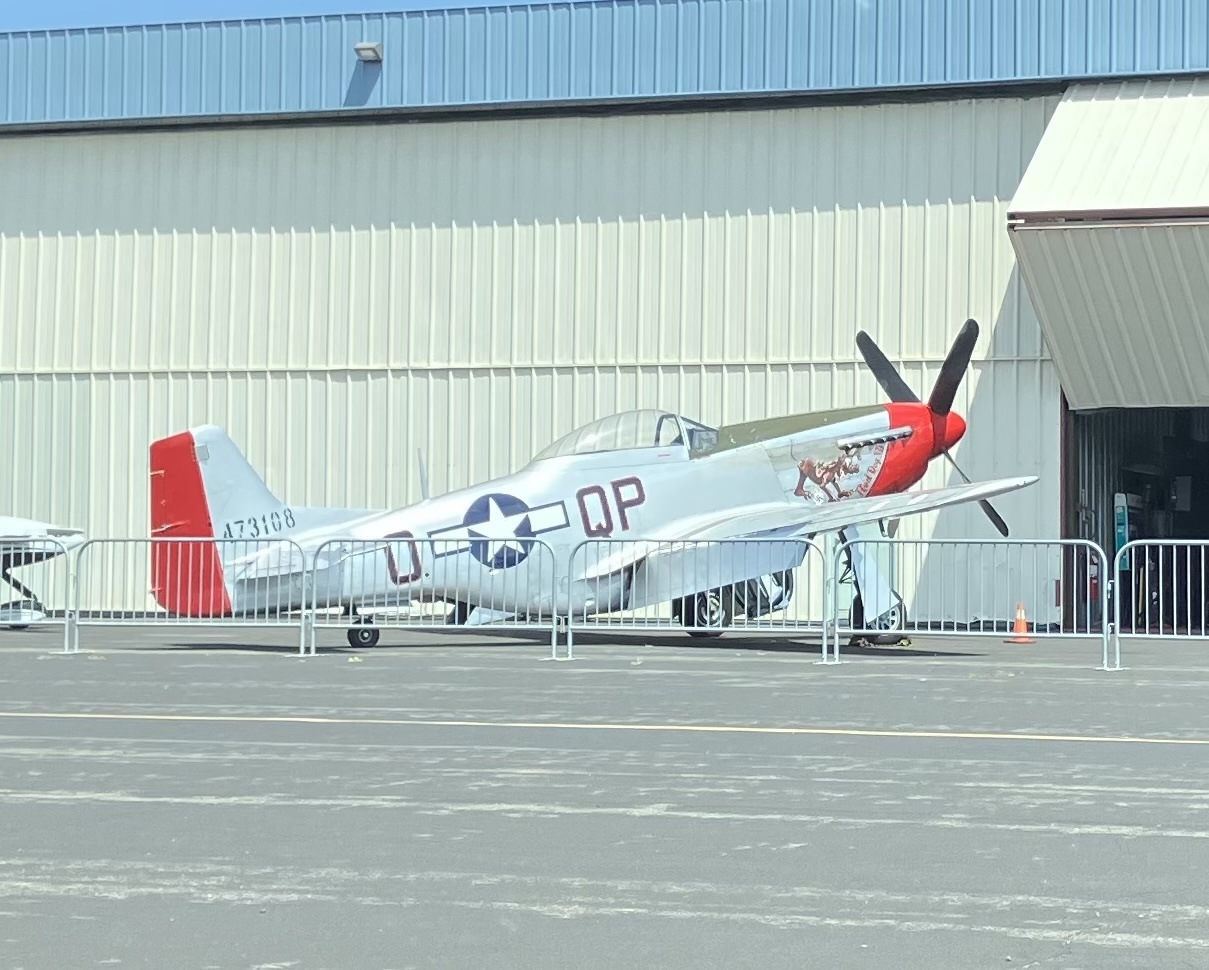 Red Dog XII -  P51D.jpg