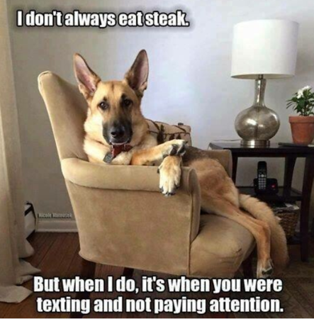 steak.png