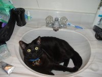 july42005 163.jpg