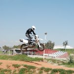 b_white_jump_600.jpg