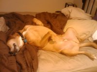 2009-11-05 21.30.14.jpg
