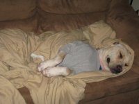Marcosleeping.jpg