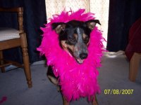 Picture 005.JPG