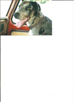 Truckee 007.jpg