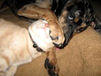 IMG_1603.jpg
