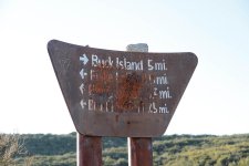 _MG_3142.jpg