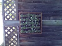 photo-2.jpg
