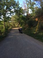 IMG_1325.jpg