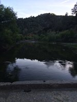 IMG_1337.jpg