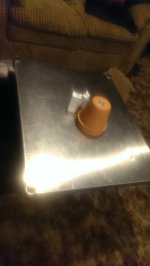 IMAG0575.jpg