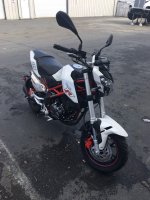 Benelli1.jpeg