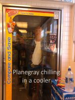 Planegray chilling.jpg