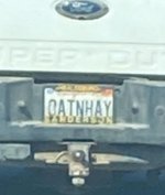 OatNHay.JPG