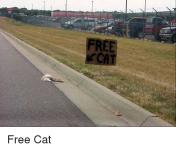 freecat.png