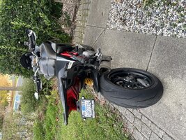 IMG_1571.jpeg