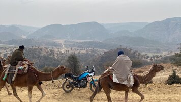 IMG_9914.jpeg
