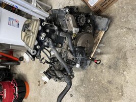 IMG_5956.jpeg