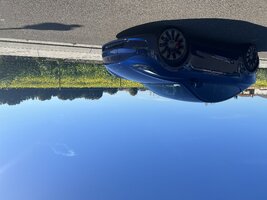IMG_1446.jpeg
