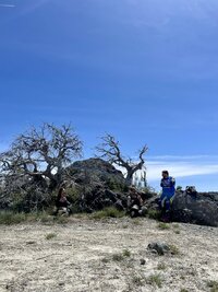 IMG_9717.JPEG