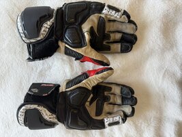 IMG_1579-compressed.jpeg