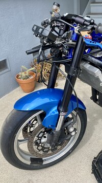 IMG_4455.jpeg