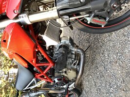 IMG_1244.jpeg