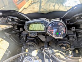 0a858d1d-54bb-40d7-87d1-8d90cb21e5c6~1.jpg