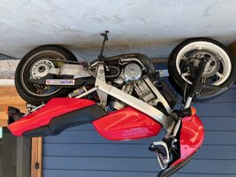 IMG_3295.jpg