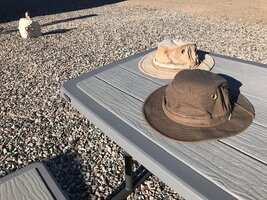 IMG_7415.jpg