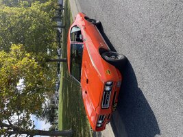 IMG_7043.jpeg