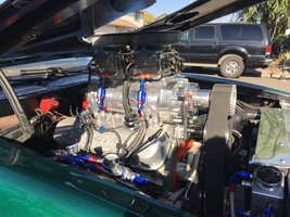 IMG_3349.jpeg