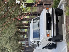 IMG_3812.jpeg