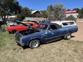 IMG_3424.jpeg